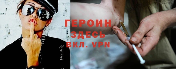 индика Горняк
