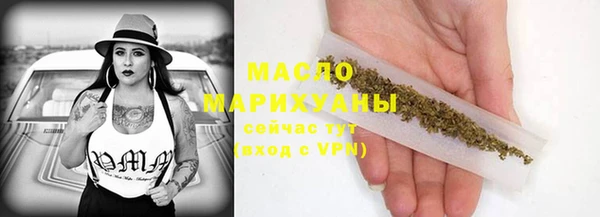 индика Горняк