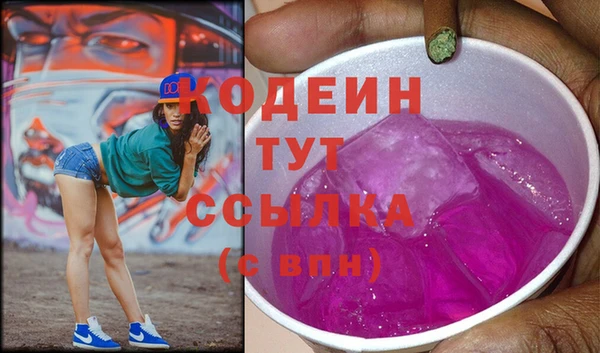 индика Горняк