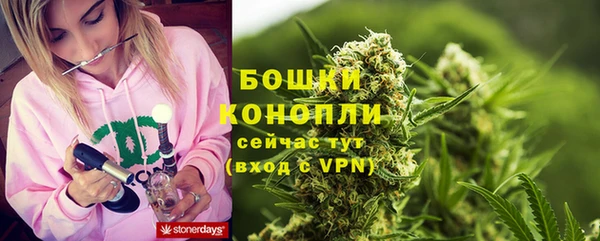 apvp Горнозаводск