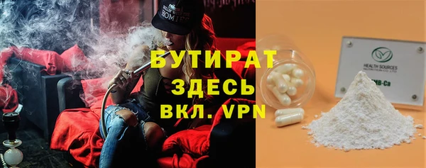 индика Горняк